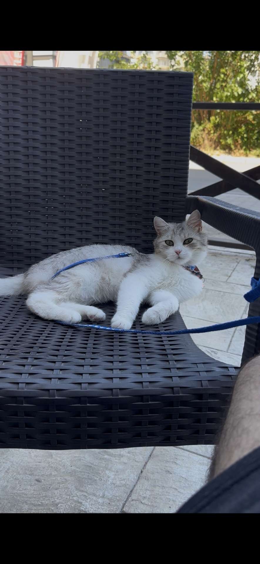 Kayıp
