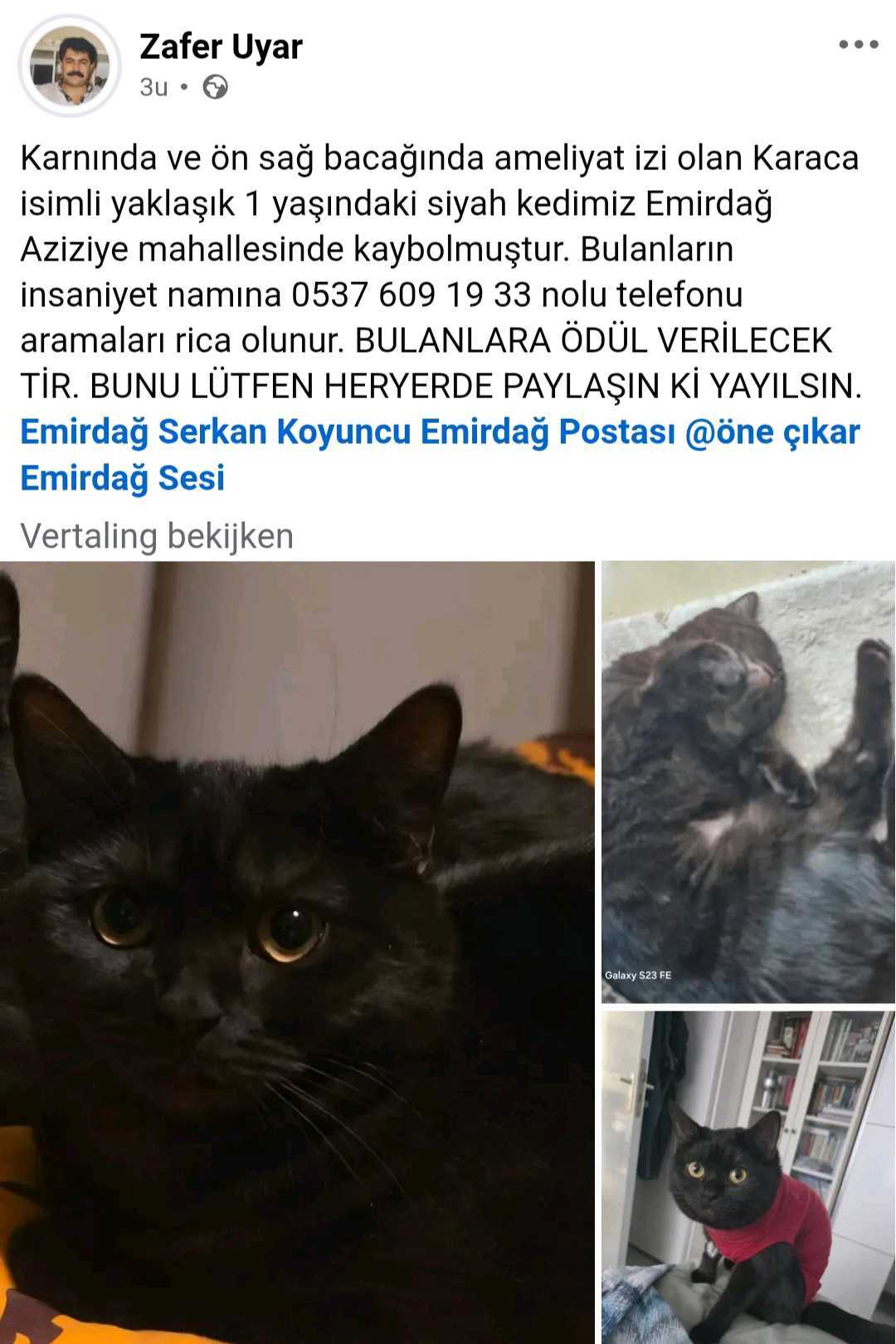 Karaca, kayıp, Afyonkarahisar Emirdağ