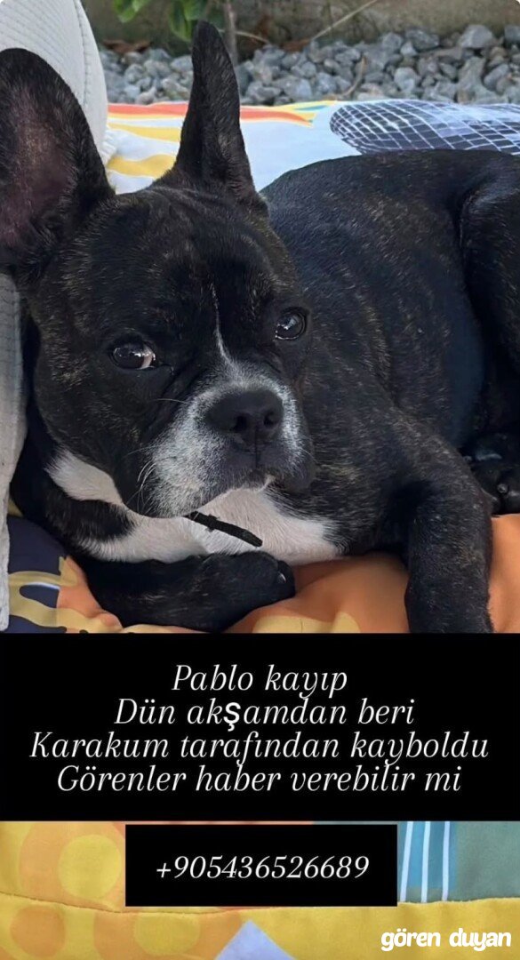 Sinop kara kumda kayboldu