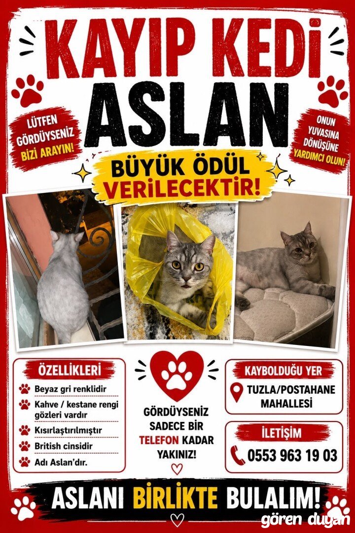 Tuzla postane mahallesi