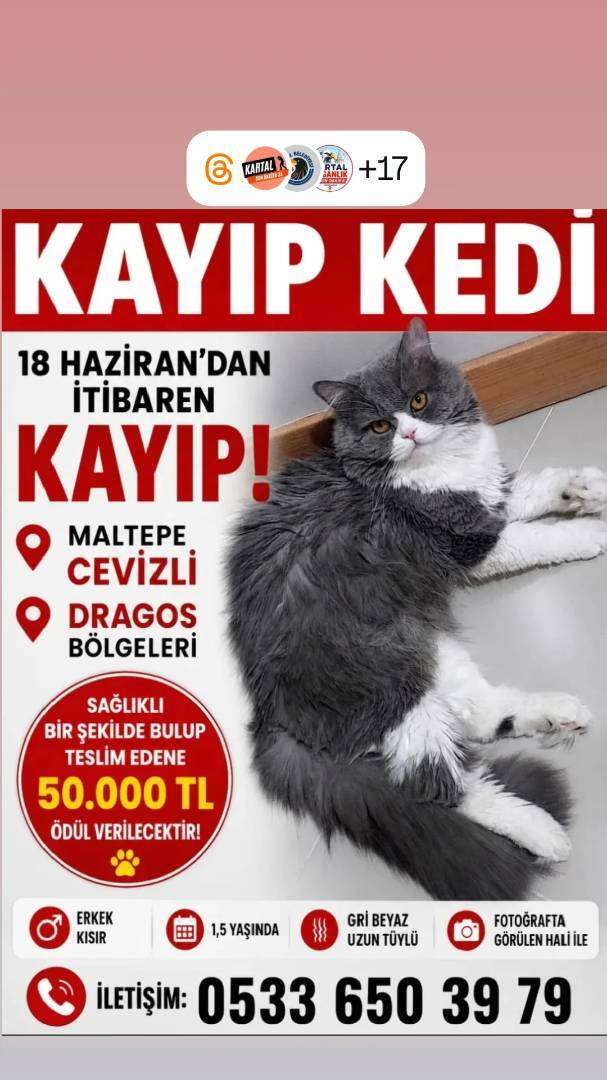 İSTANBUL MALTEPE