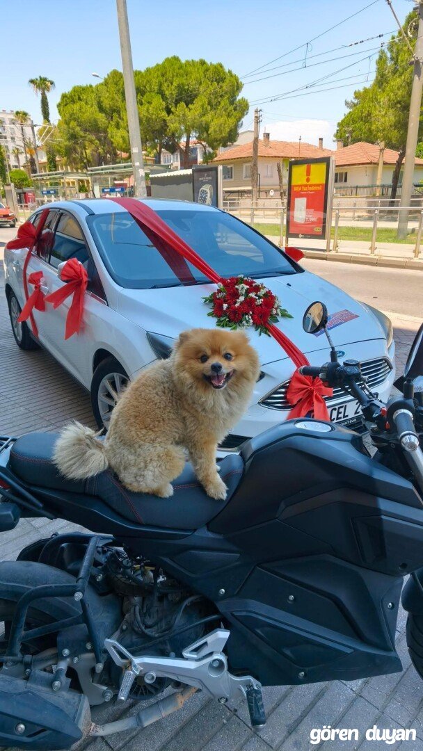 Kayıp - Antalya