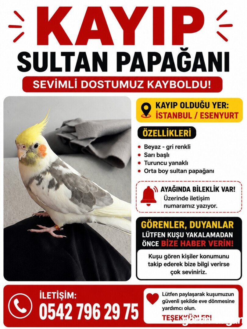 Esenyurt fatih