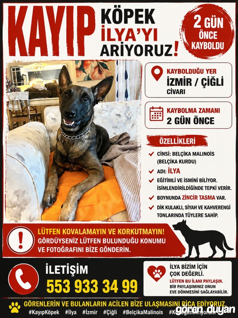 İlya kayıp!! İzmir