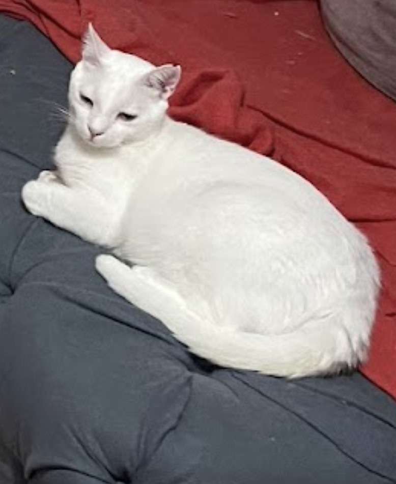 Kayıp