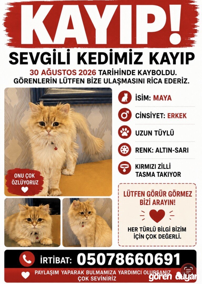 Ankara Çankaya Birlik mah.
