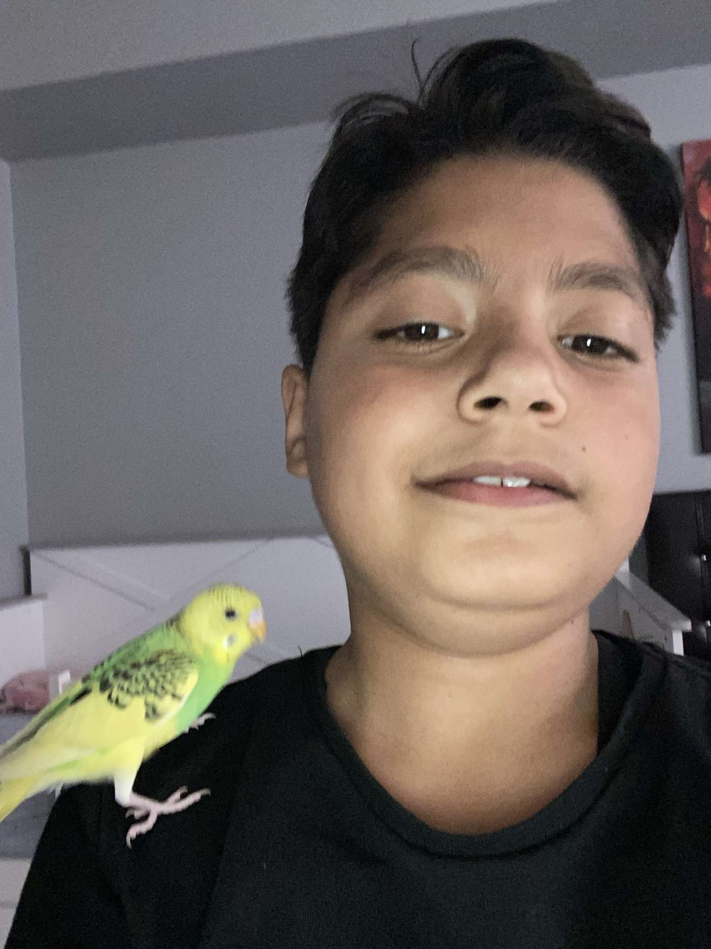 Arıyorum acil gören varsa beni arasın ağlıyorum bulan ve ya gören beni bulsun güzel bir ödül de vereceğim