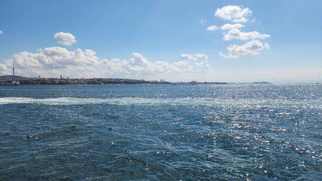 PAMUK PRENSES" İSİMLİ TEKİR KEDİ İSTANBUL/USKUDAR