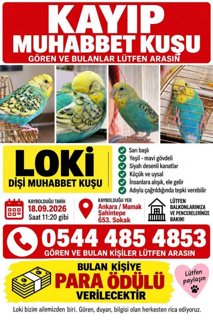 18.09.2026 kayboldu. mamak şahintepe