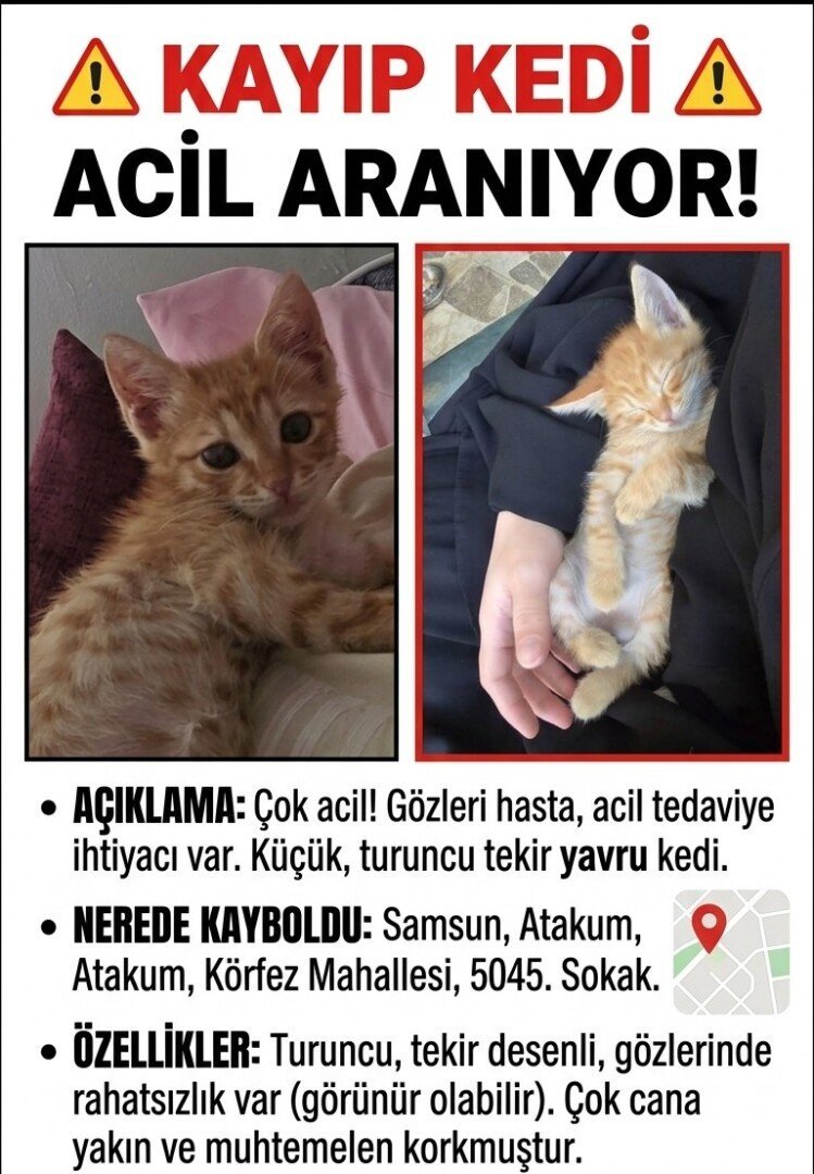 samsun atakum korfez mahallesi 5045 sokakda kayboldu