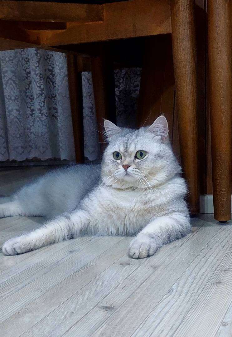 3 gündür kayıp  ŞANS
