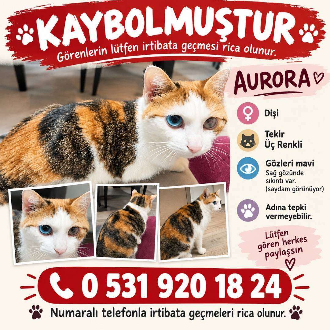 bulanların numaraya yazması rica olunur