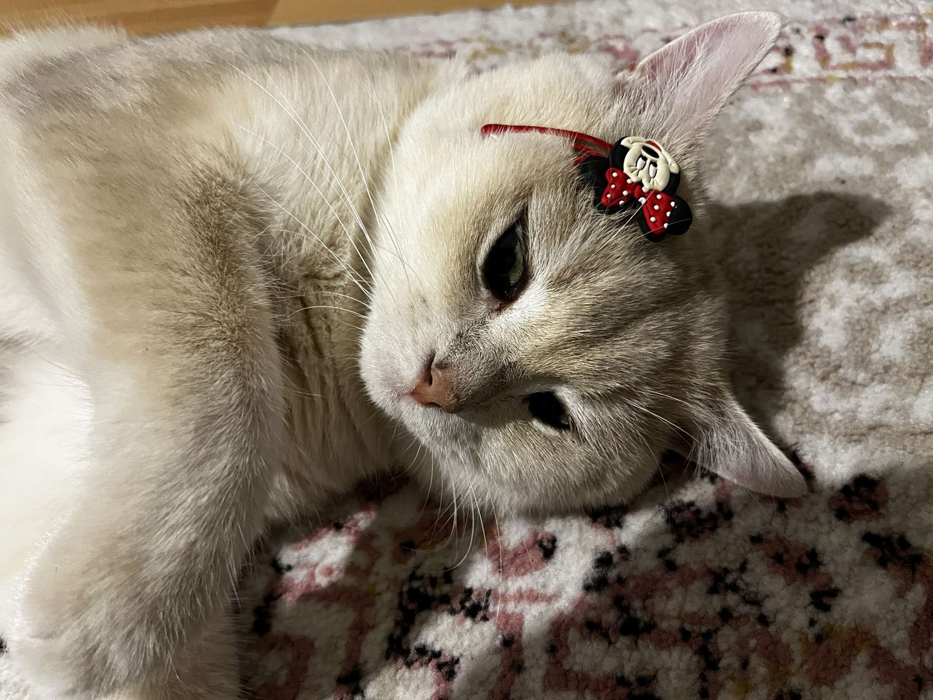 KAYIP ARANIYOR
