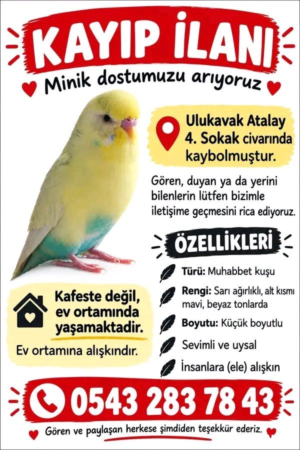Çorum Merkez Atalay 4. Sokak civarı 17.09.2026