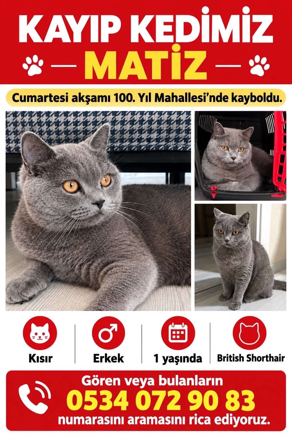 Kedim MATİZ