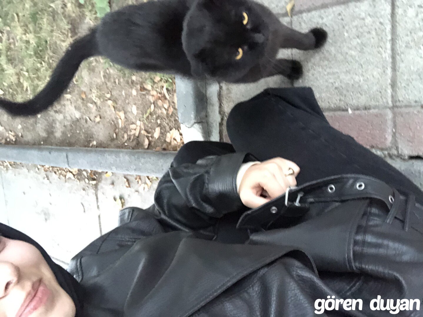 Sahibi Aranıyor: Kedi (1.10.2026)