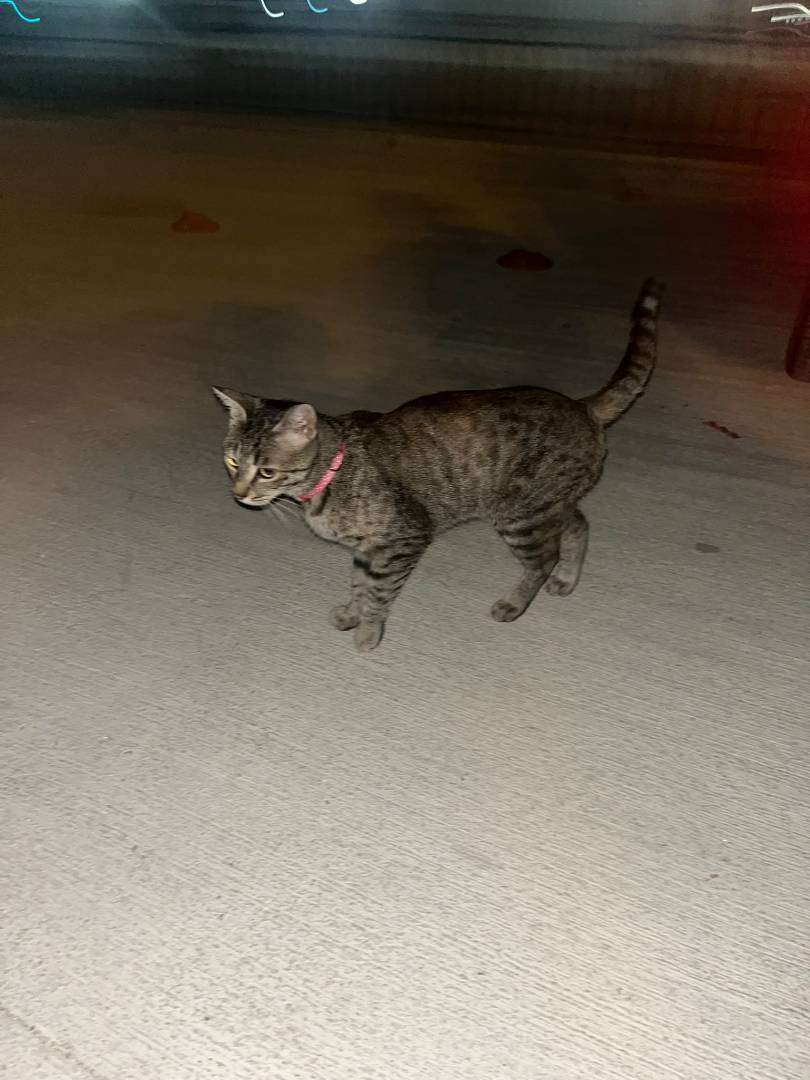 Sahib Aranıyor Batıkent Ankara