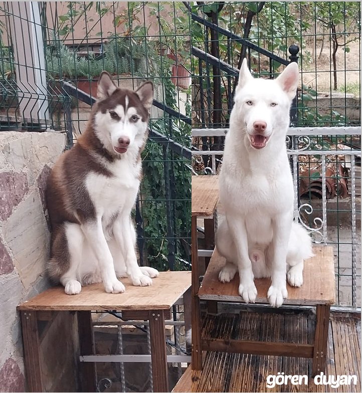 Kayıp 2 kardeş
