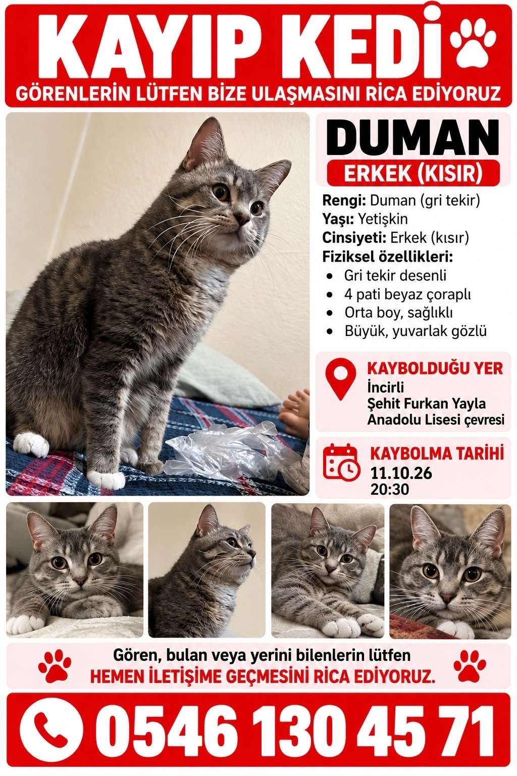 Kayıp
