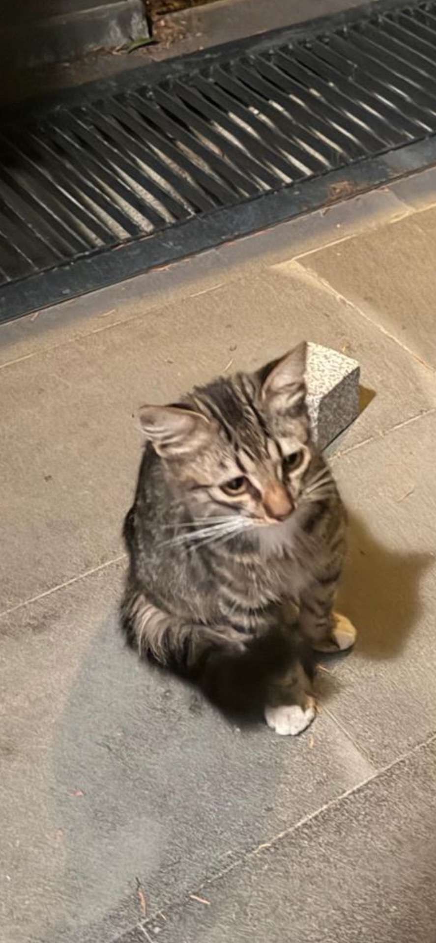 BONCUK KAYBOLDU