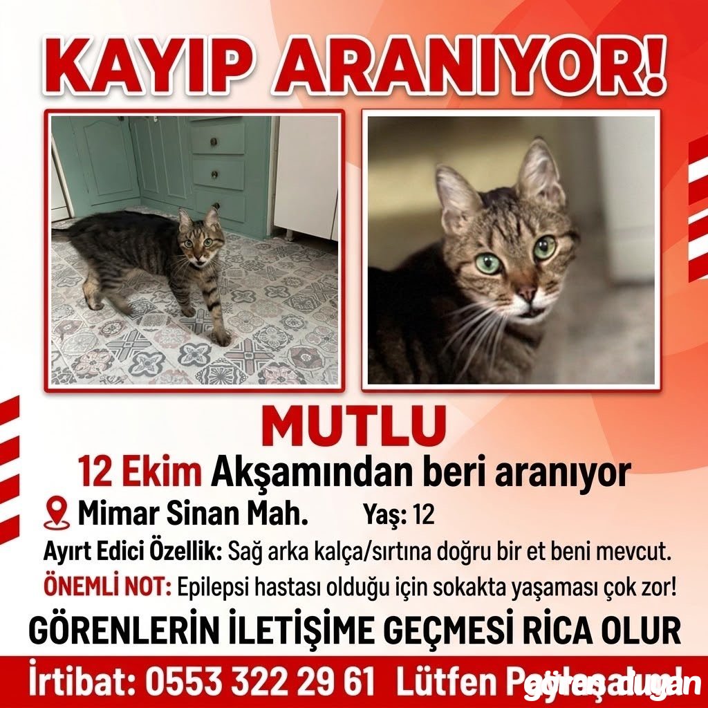 İzmir mimar Sinan mahallesi