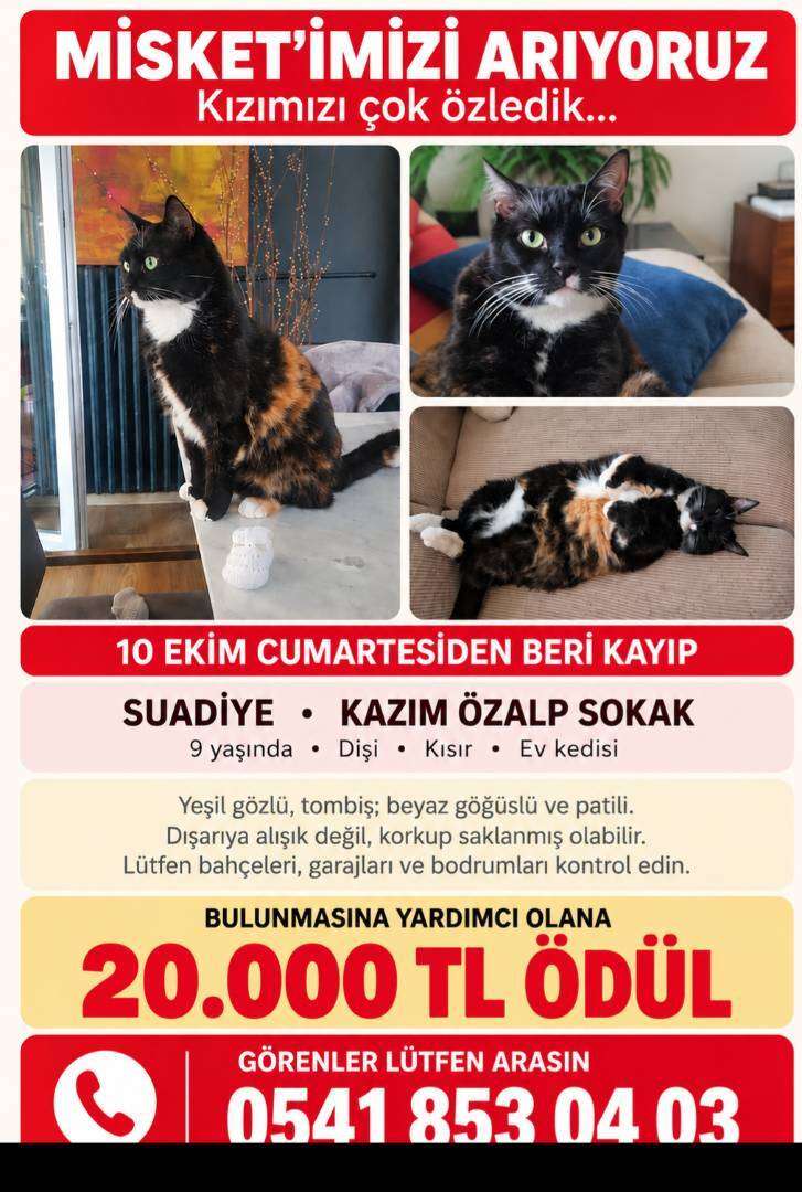 Kızımız MİSKET kayıp