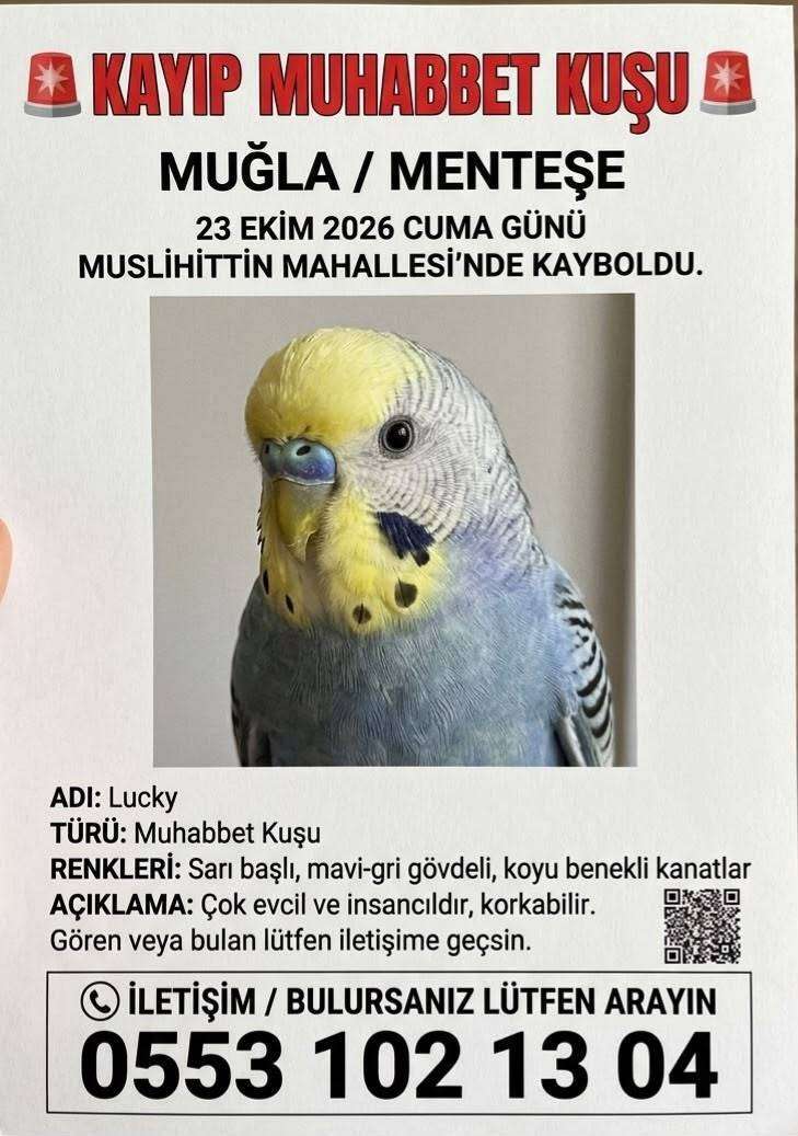 LUCKY