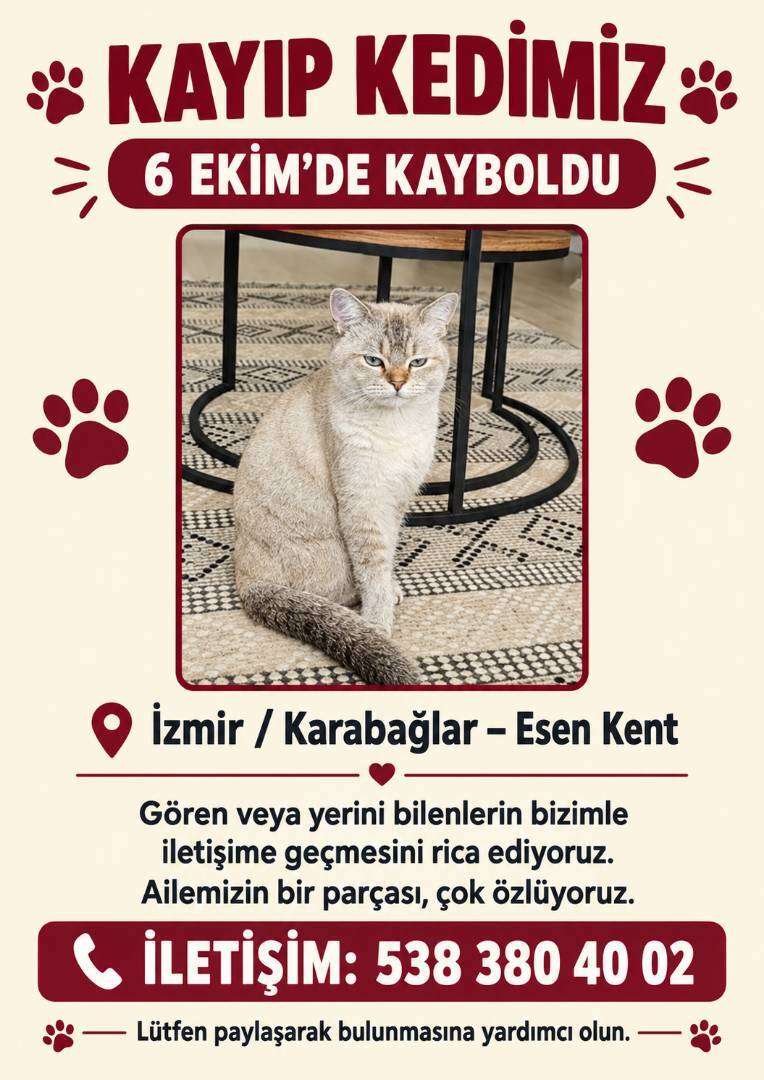 İzmir kayip