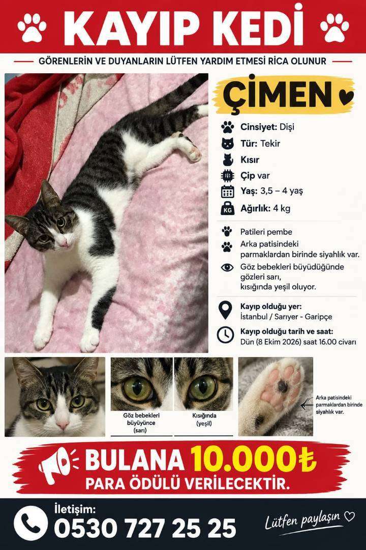 KEDİM SARIYER GARİPCEDE KAYBOLDU