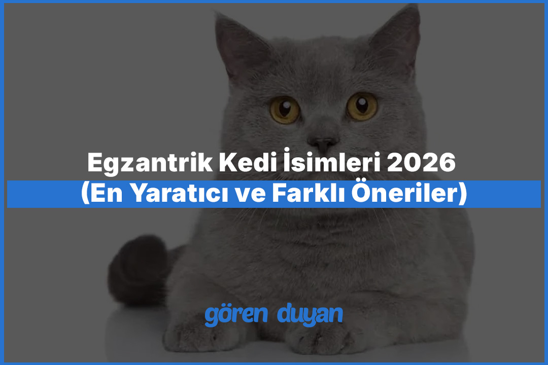 Egzantrik Kedi İsimleri 2026 (En Yaratıcı ve Farklı Öneriler)