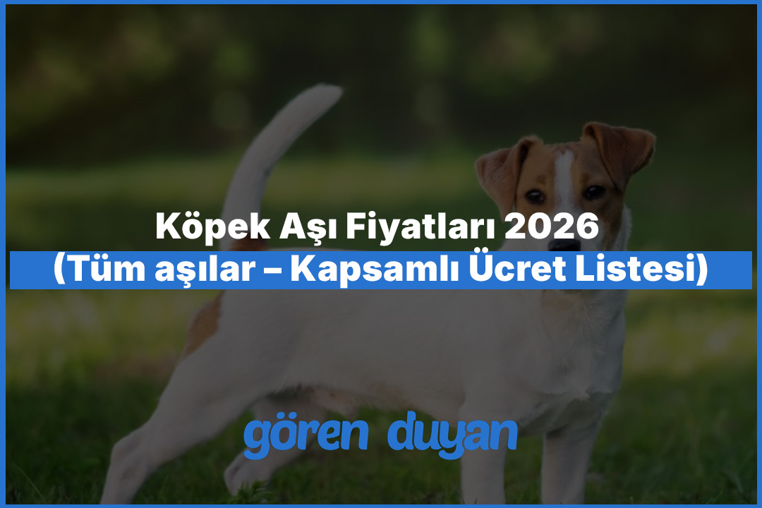 Köpek Aşı Fiyatları 2026 (Tüm aşılar – Kapsamlı Ücret Listesi)