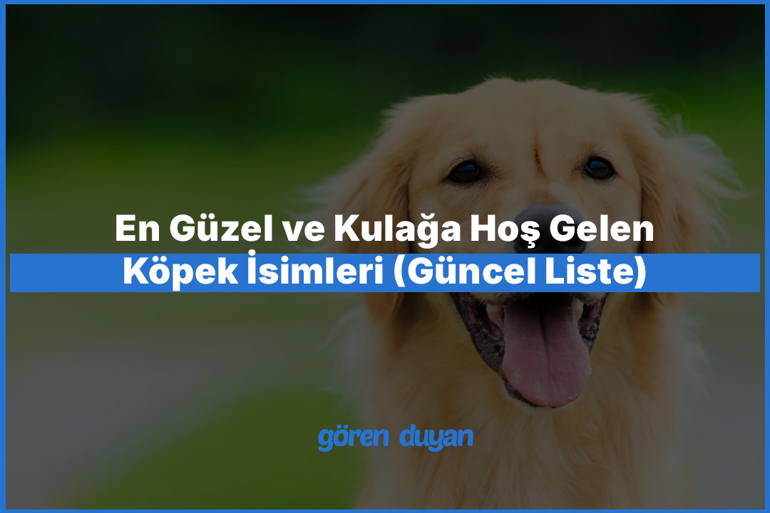 En Güzel ve Kulağa Hoş Gelen Köpek İsimleri (Güncel Liste)