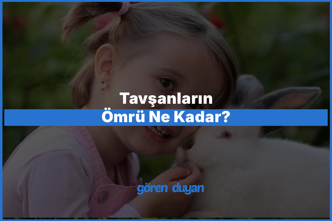 Tavşanların Ömrü Ne Kadar? Irklara Göre Yaşam Süreleri