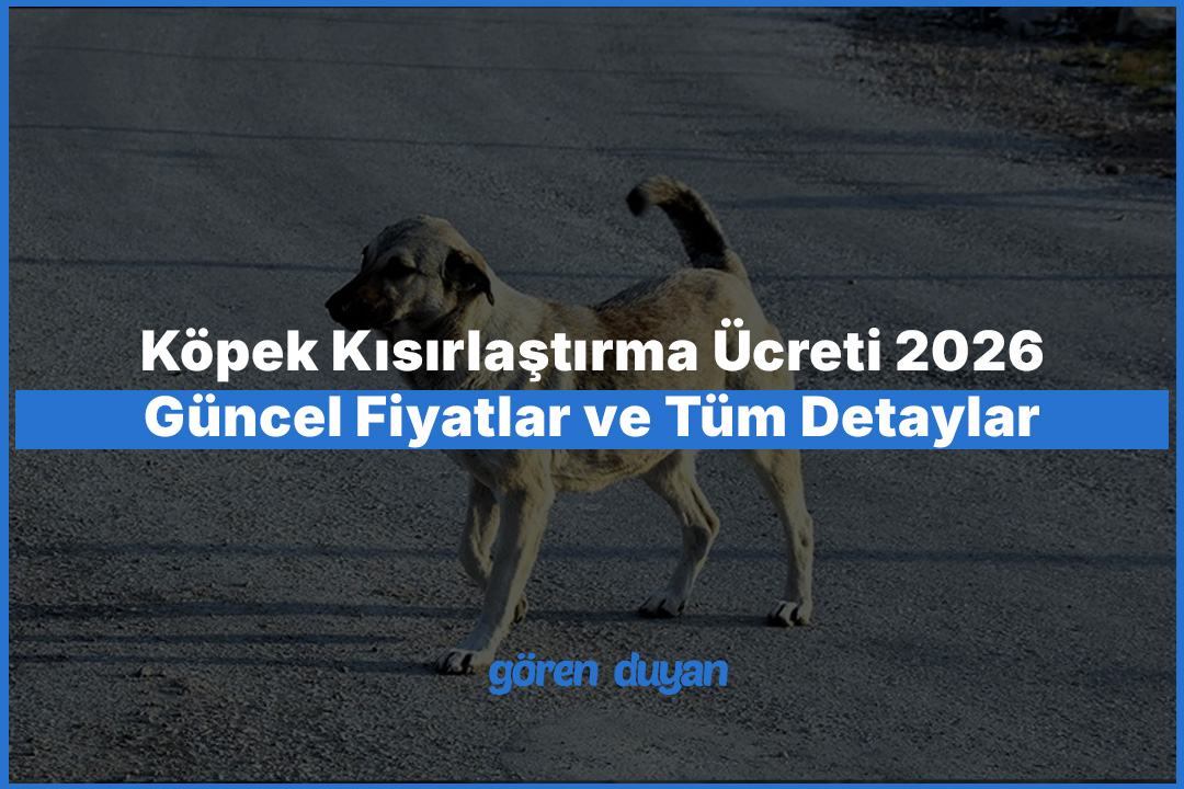 Köpek Kısırlaştırma Ücreti 2026: Güncel Fiyatlar ve Tüm Detaylar