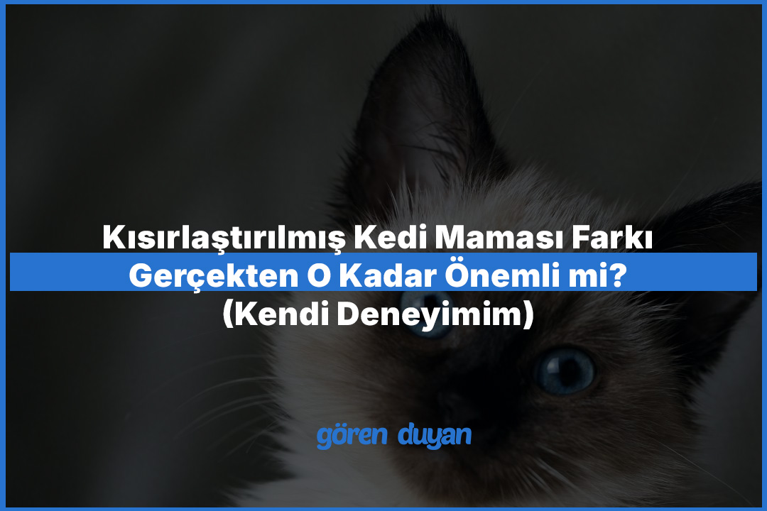 Kısırlaştırılmış Kedi Maması Farkı Gerçekten O Kadar Önemli mi? (Kendi Deneyimim)