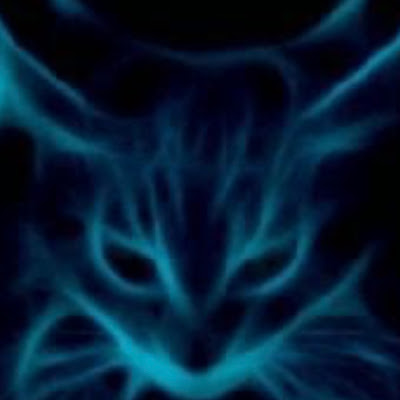NEON CATS