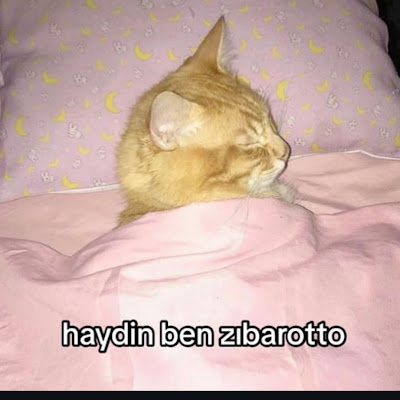 Zeynep
