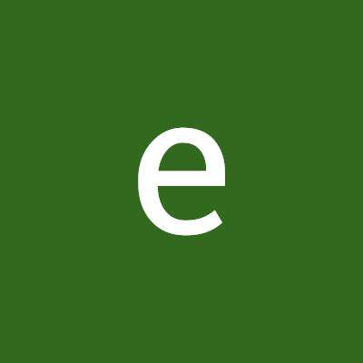 ecrin ergun