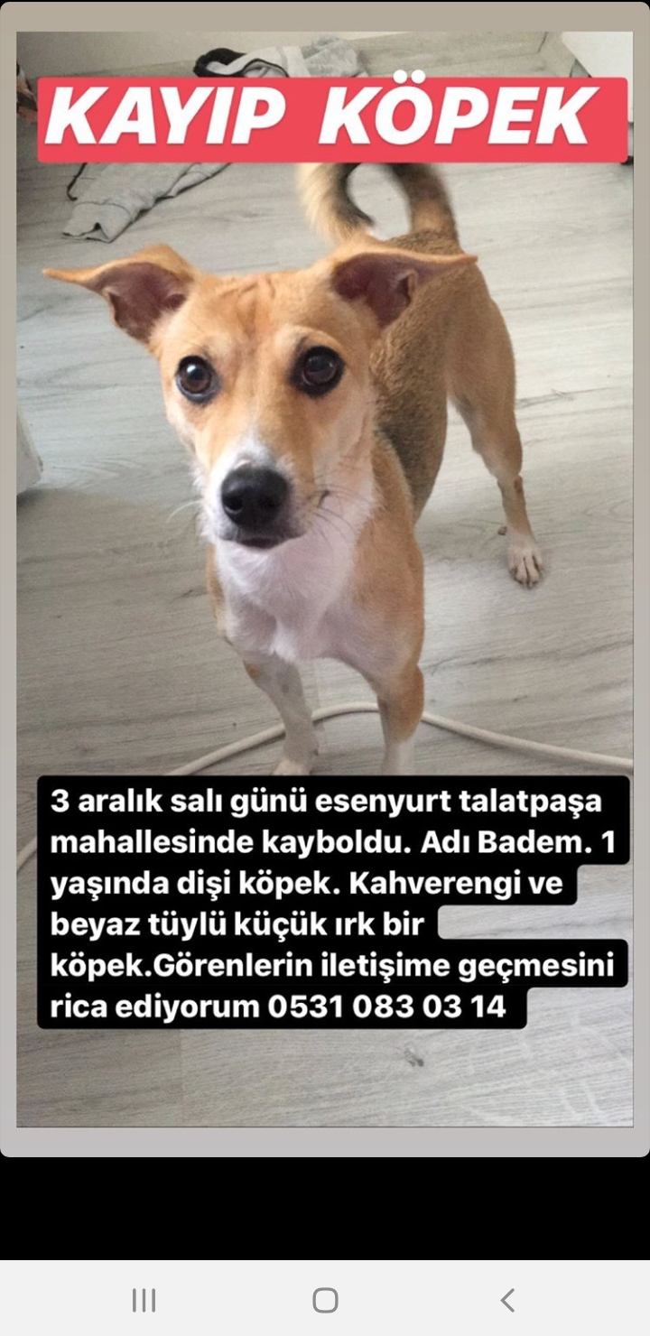 Kızımı bulamıyorum.