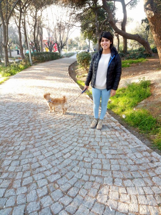 Köpeğim Kayboldu İzmir Cicipark