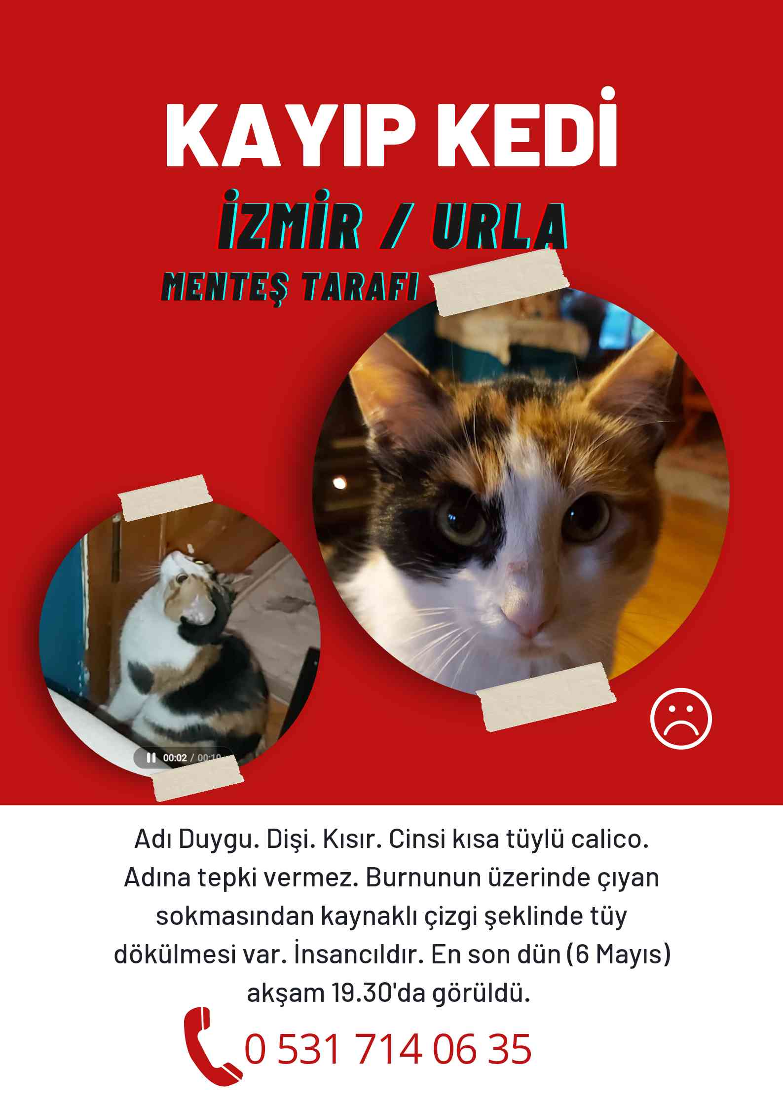 Kedim Kayıp! İzmir Urla Çeşmealtı Menteş Tarafı