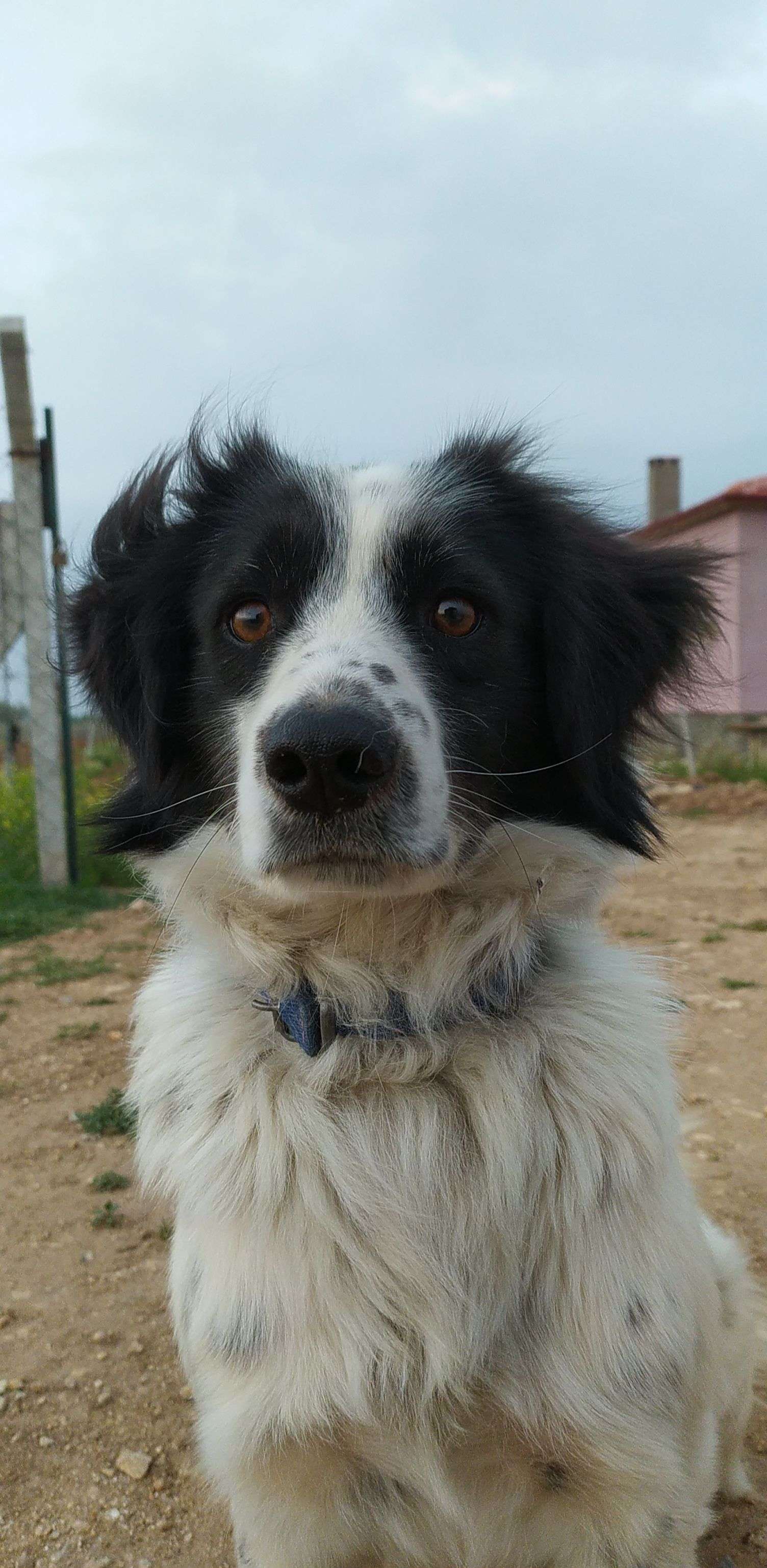 köğepimiz boncuk kayıp 