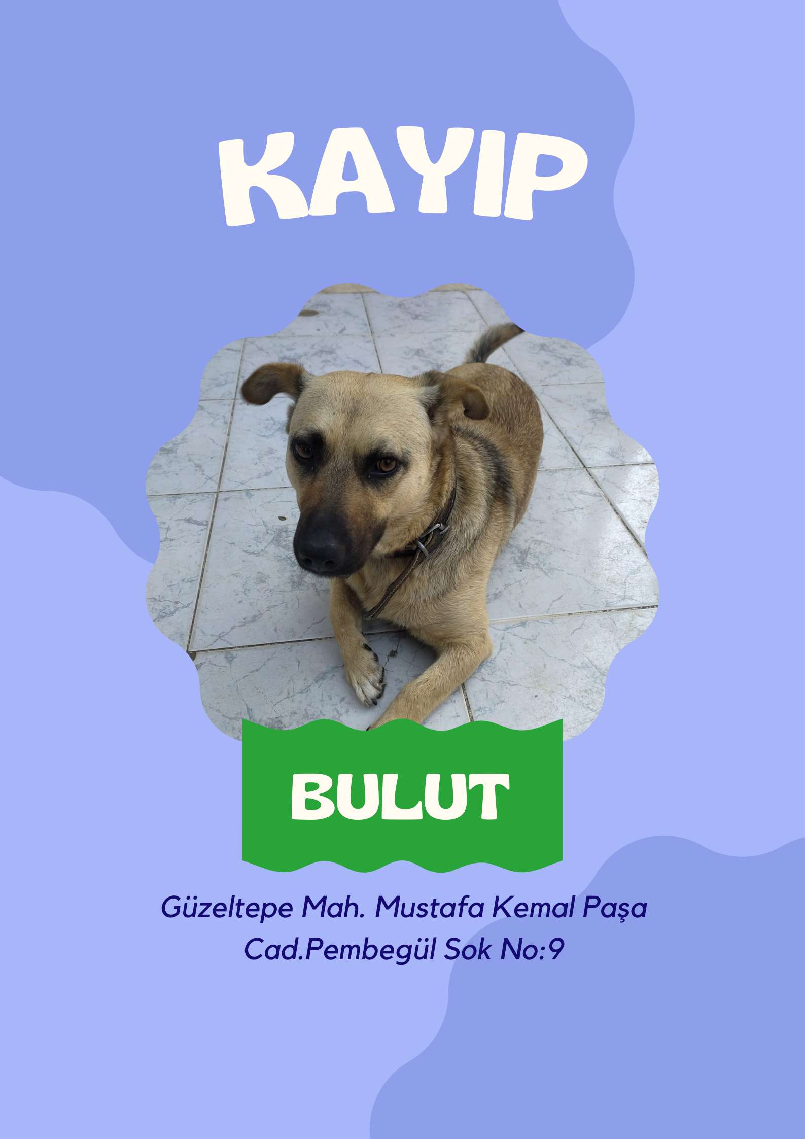 BULUT KAYIP