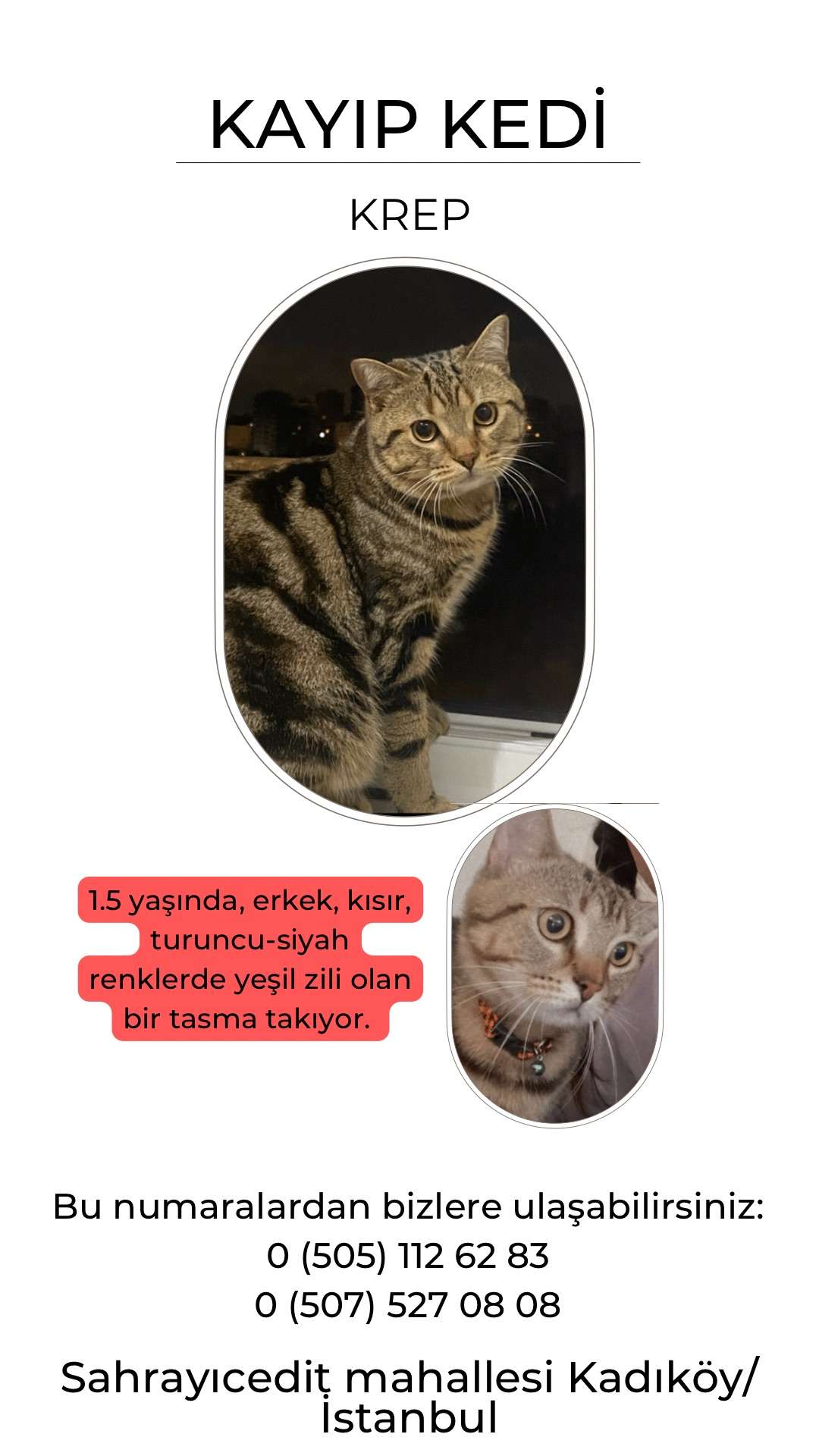 Kedim Krep Kayıp Kadıköy /Sahrayıcedit 