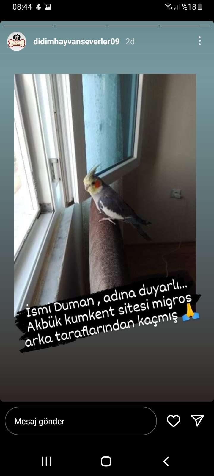 Duman imiz kaçtı 