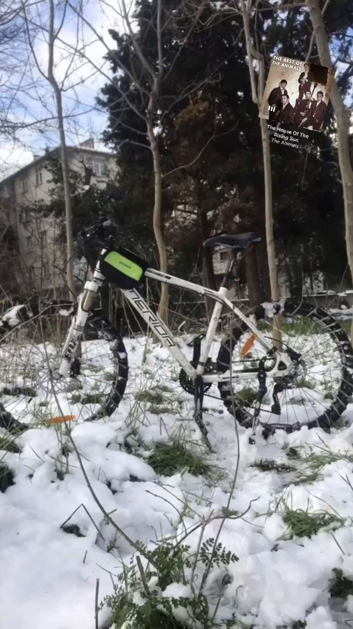 Bisikletim Çalındı