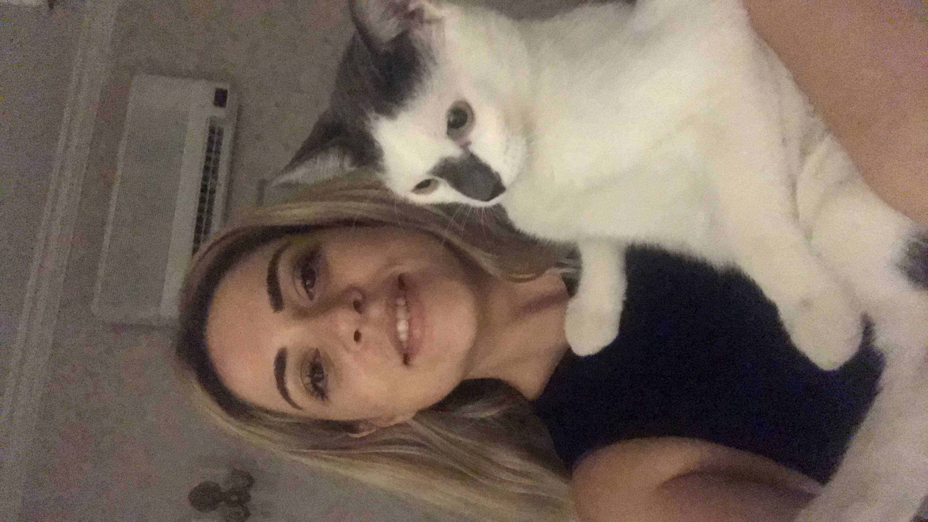 Kayıp kedim aşık İlanı 4079 Gören Duyan