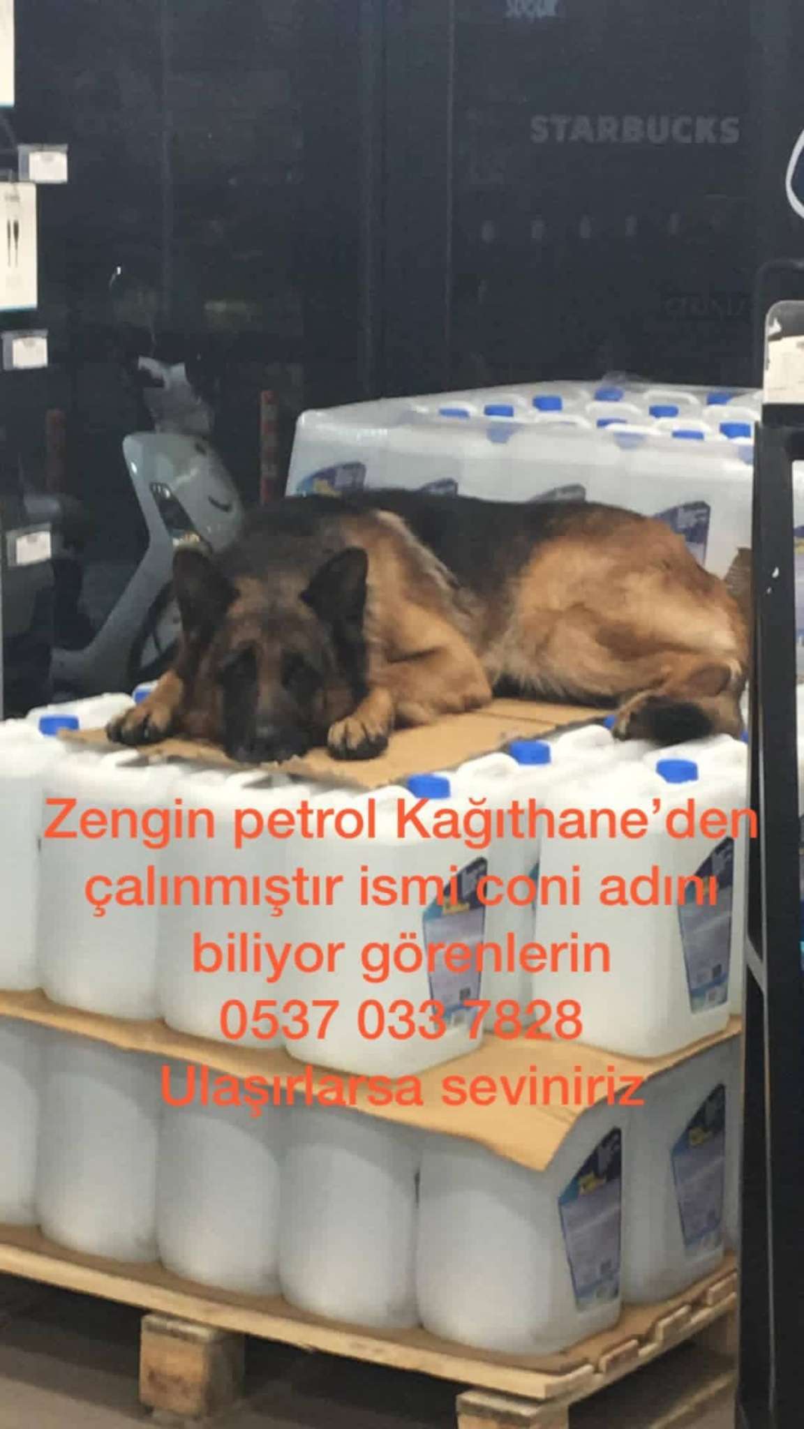 Acil kağıthane bölgesinde kayıp