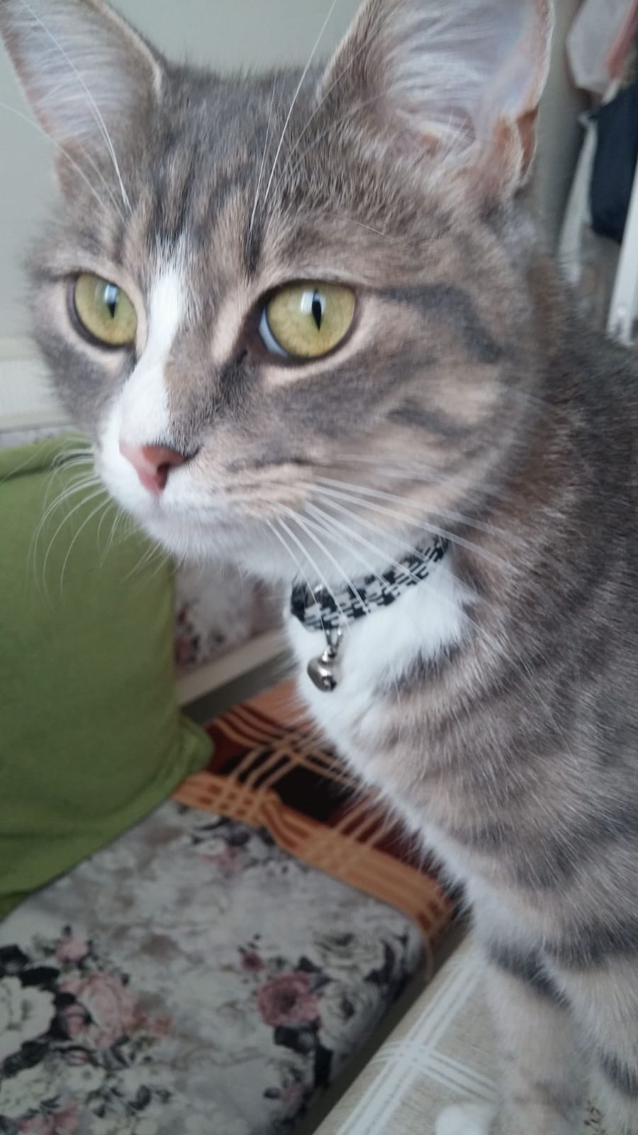 Duman kayboldu Gören Duyan
