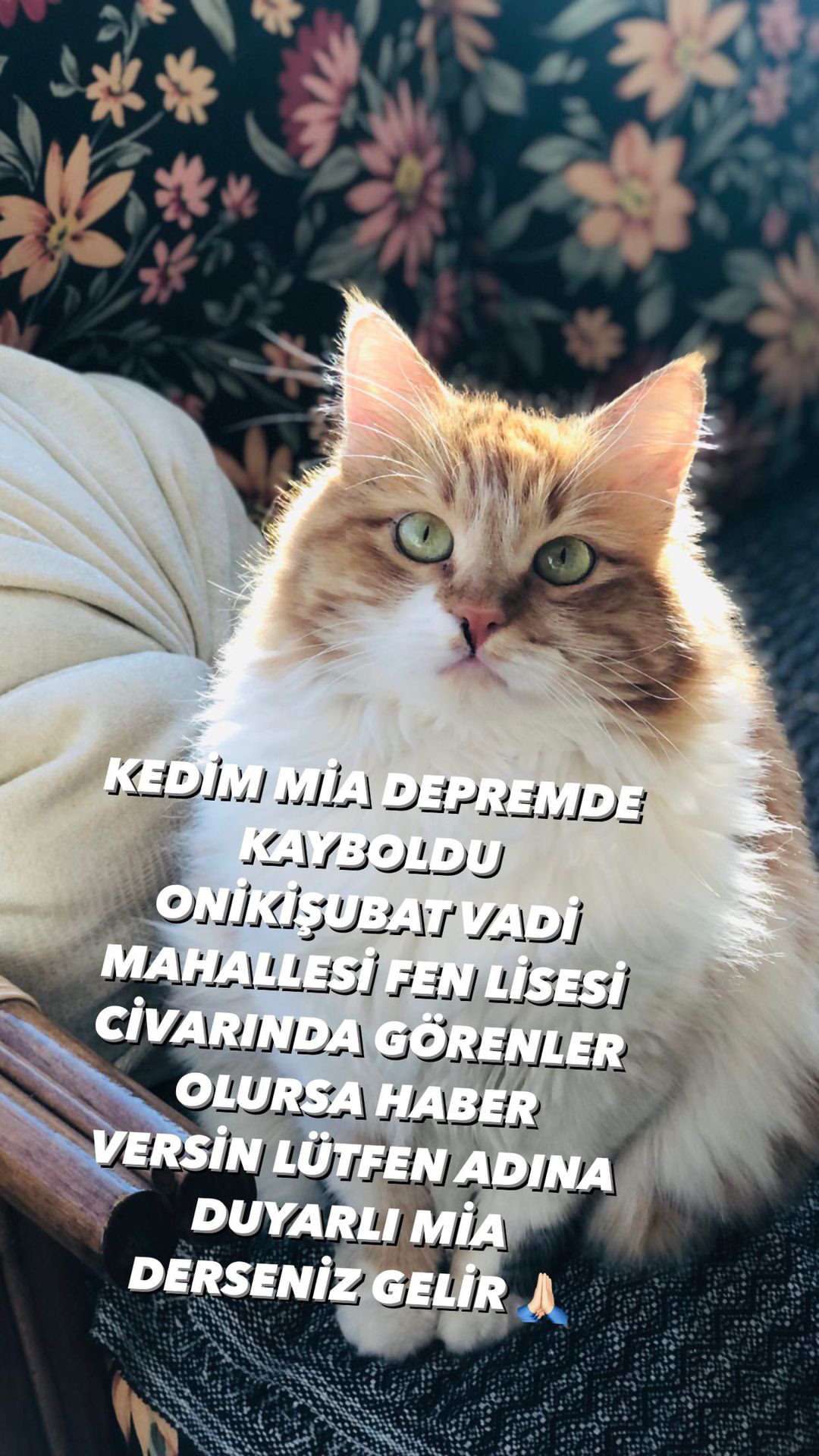 KEDİM MİA DEPREM GÜNÜ KAHRAMANMARAŞ DA KAYBOLDU